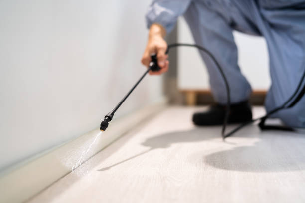 Licensed Termite Control service in Warren County County, MS - Nex Pest Control