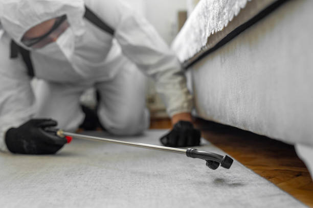 Professional Termite Control technician working in Warren County County, MS